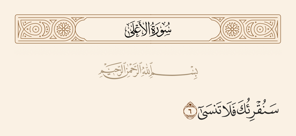 سورة الأعلى الآية رقم 6